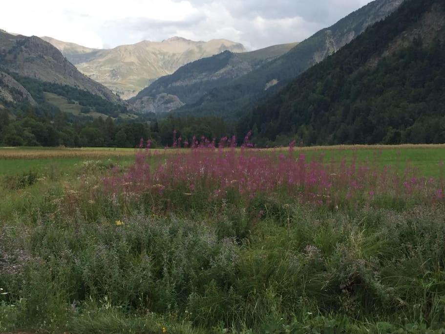 Appart Tres Ensoleille 5-6 Pers Au Pied Des Pistes Ancelle Zewnętrze zdjęcie
